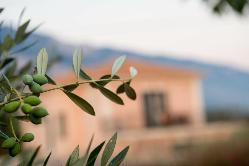 Korallis Villas Livathos  Exteriér fotografie